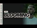 ZAYN Blooming One Hour Loop 
