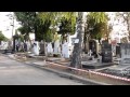 Новое кладбище в Белграде