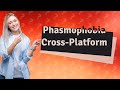Is phasmophobia cross platform