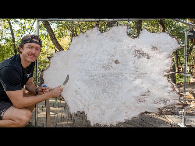 Tanning a Deer Hide at Home 