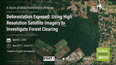 Deforestation Exposed: Using High Resolution Satellite Imagery to Investigate Forest Clearing