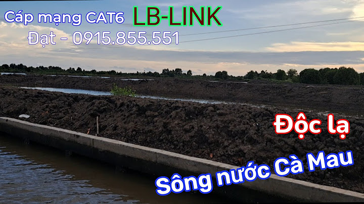 Cáp mạng lb link đánh giá năm 2024