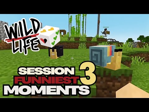 Funniest Moments of Ep3 Wild Life SMP (FEAT. Grian, LDShadowLady, Mumbo, GeminiTay and more)