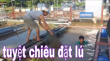 Tuyệt Chiêu Đặt 12 Cửa Ngục Dưới Đít Bè Dính Cá Tôm Thấy Ham # SĂN BẮT ĐỒNG THÁP #