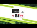 Le mipim live by bitv sintalle au mipim