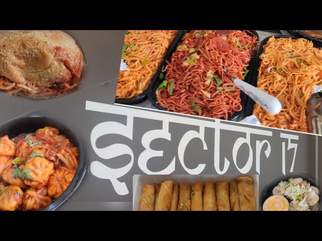 Sector 17 Food Review - The JFK | The Joint Family Vlogs