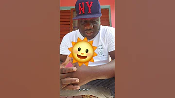 Sunday Hot 