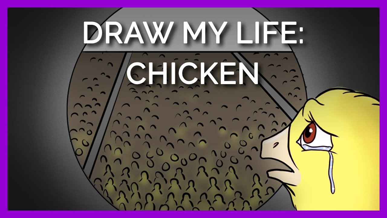 My Life As A Chicken