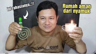 CARA MENGUSIR NYAMUK DARI RUMAH PALING AMPUH DAN NYAMUK GAK BALIK LAGI !!!