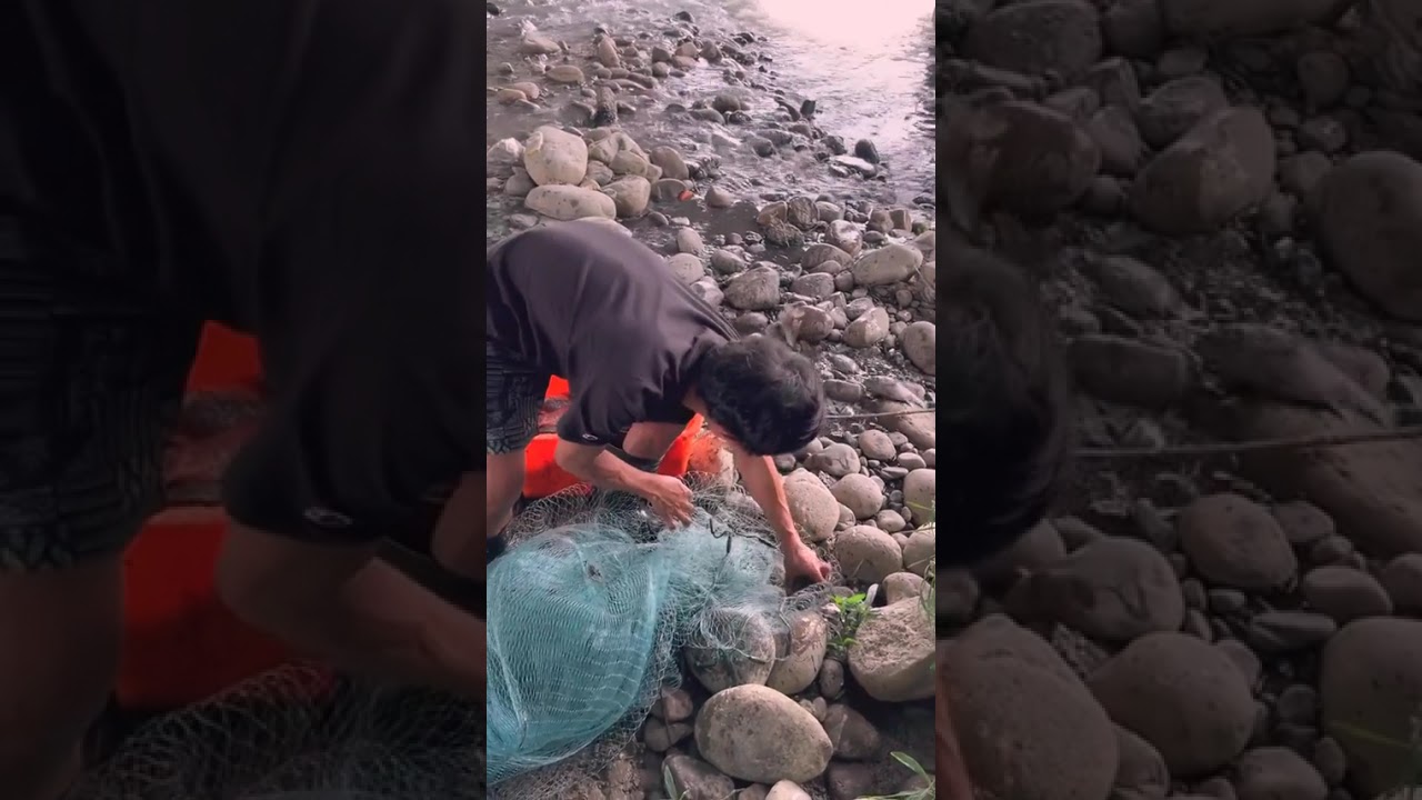 Primitive life, Simple life, Food Life, EP41,#fypage,#catchingfish, #fishing,#handfishing,
