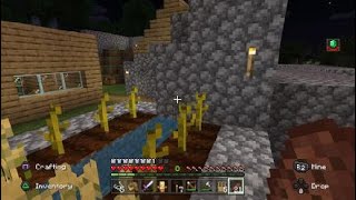 Minecraft: Village Defense