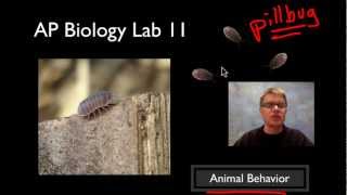 AP Biology Lab 11: Animal Behavior