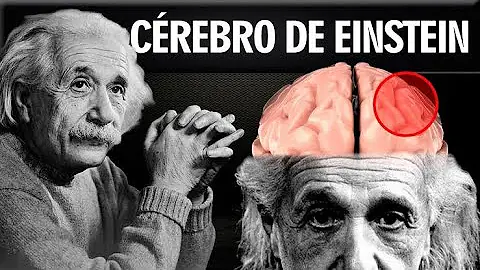 O que Isaac Newton e Albert Einstein fizeram de importante?