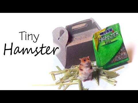 Miniature Hamster Tutorial - Polymer Clay & Paper