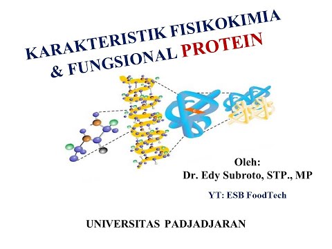 Karakteristik Fisikokimia dan Fungsional Protein - Teknologi Proses Protein Lanjut