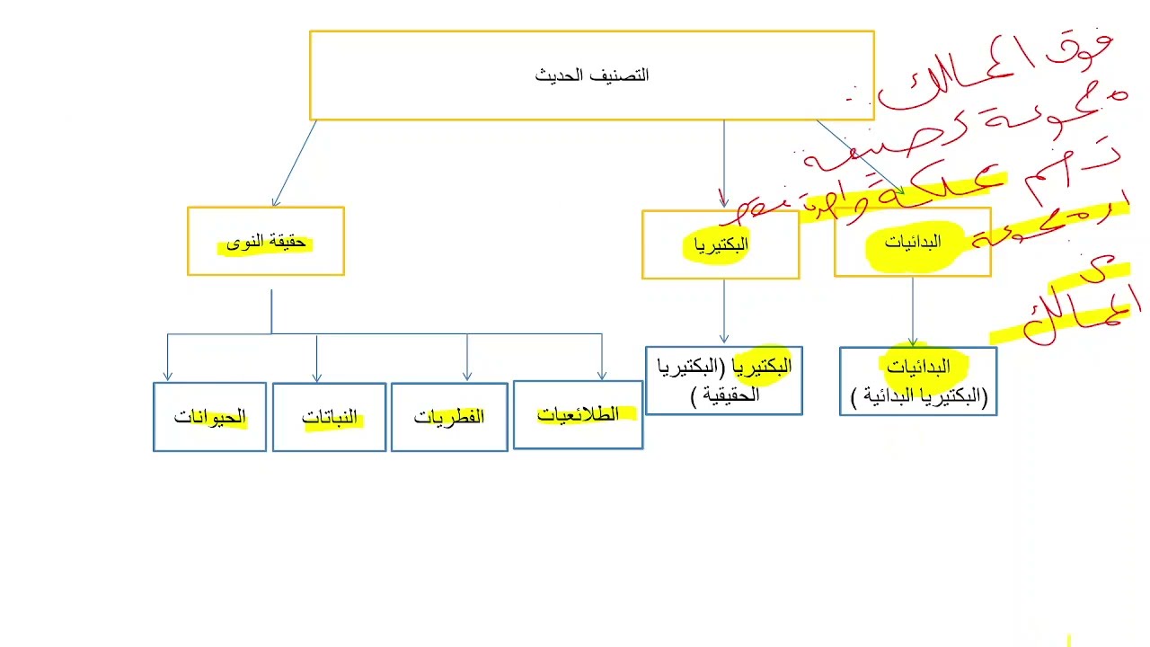 التصنيف الحديث - شرح وملاحظات مهمة
