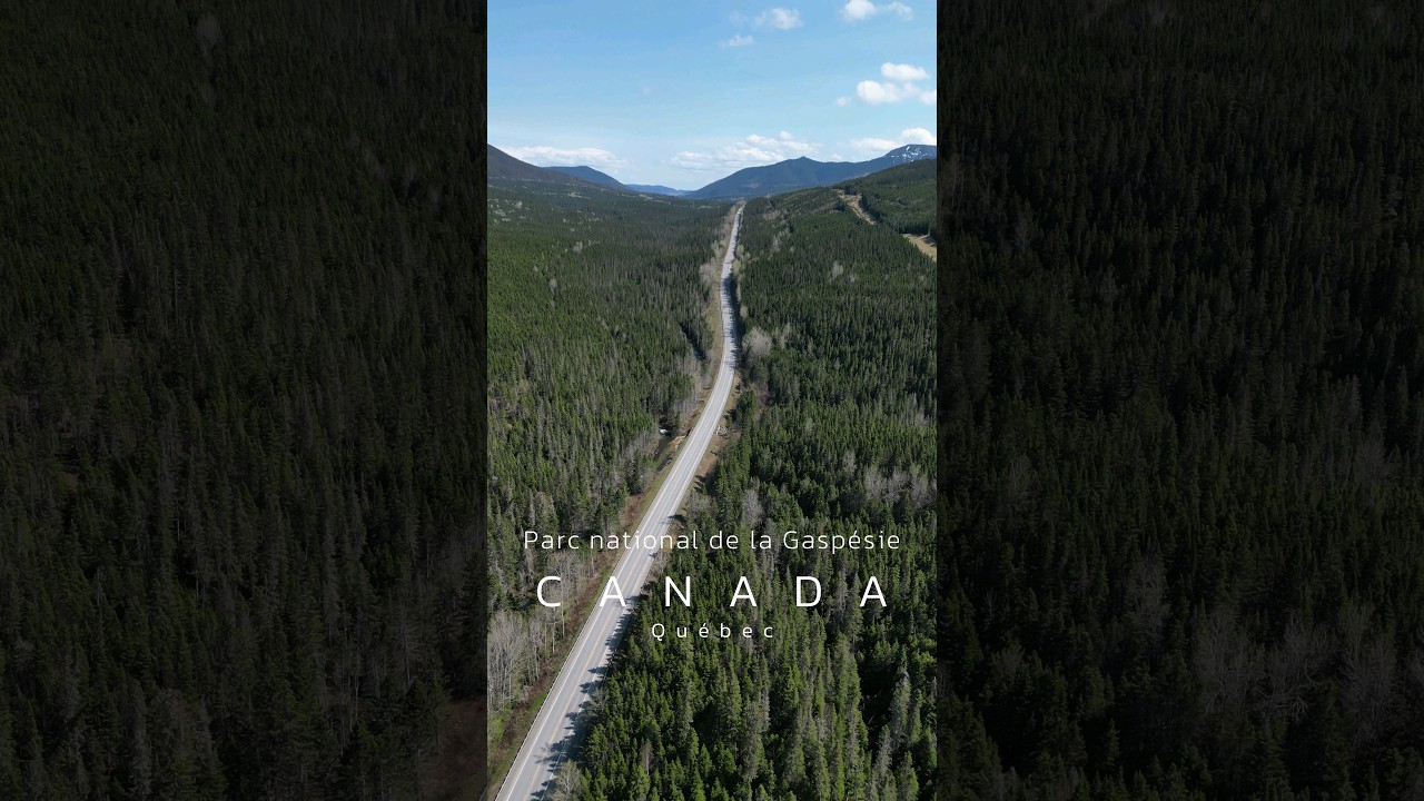 Gaspésie Provincial Park, Québec 💙🇨🇦 