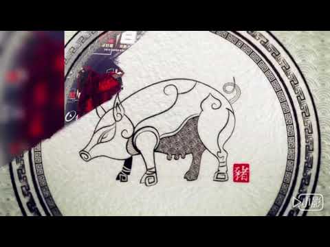 2019/1/5紅白藝能大賞（錄影）