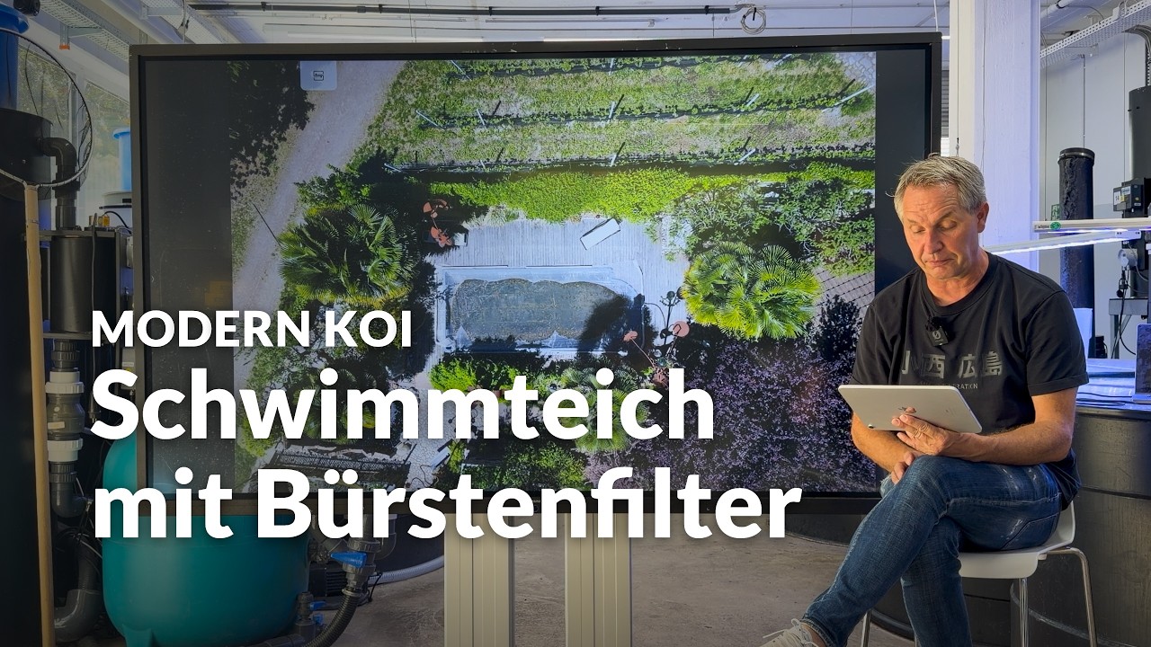 Koi und Schwimmen im selben Teich: Funktioniert das? | Modern Koi Blog #8214