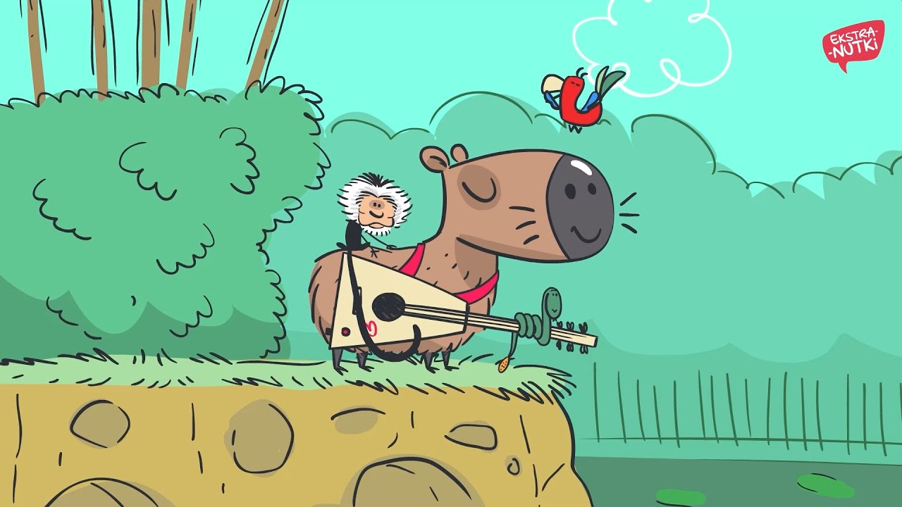 KAPIBARY | Ekstra-Nutki (Tomasz Piotr Nowaczyk) | piosenka DLA DZIECI