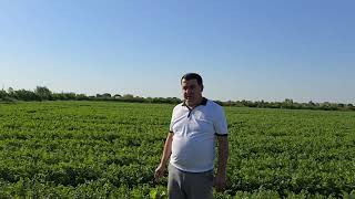 Agrobank Atb Yangiariq Filiali Bir Kontur Bir Mahsulot Monitoring 3170 Kontur 02.09.2025 Yil