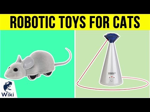 10-best-robotic-toys-for-cats-2019