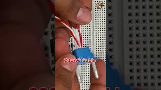 230V AC LED Indicator Circuit #ledlights #diy_electronics #shortvideo