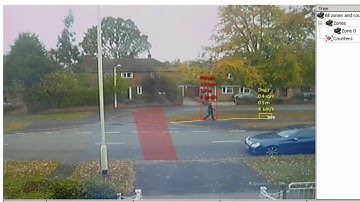 GXi Embedded Intelligence - Classified: Lady and Dog