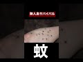 無人島で1番恐ろしいものはアイツ サバイバル 無人島で1番恐ろしいものはアイツ サバイバル