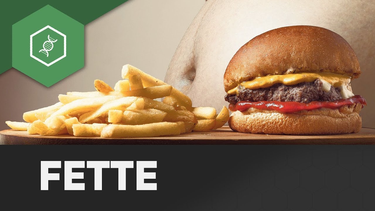 Fette - Biomoleküle 3