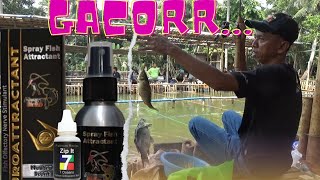 Essen Zip It Sepedas Cabe Anti Zonk || Gentak Sampe Bosen screenshot 4
