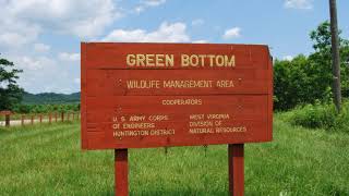 Green Bottom Wildlife Management Area | Wikipedia audio article