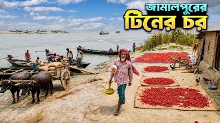 জামালপুরের টিনের চরের মানুষেরা কেমন আছে । Char Life of Jamalpur । যমুনা চরের জীবন