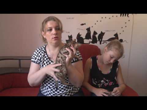 Видео: Домашние животные и тяжелая астма: советы и многое другое
