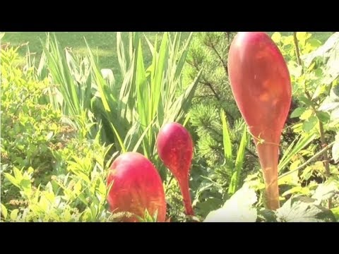 Garden Design Ideas - How To Design A Garden | Garden Ideas & Tips