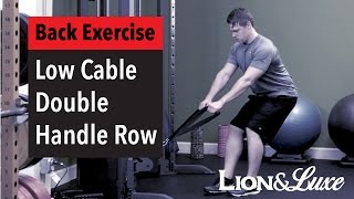 Low Cable Double Handle Row