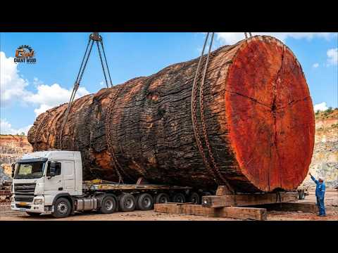 The Most Valuable 3000-Year-Old Timber Ever Cut at a Sawmill