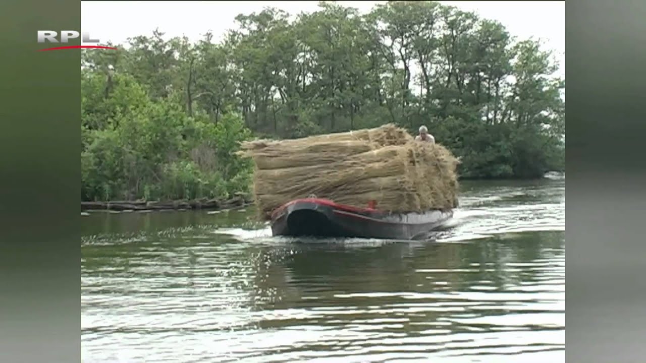 Riet snijden - RPL TV Woerden