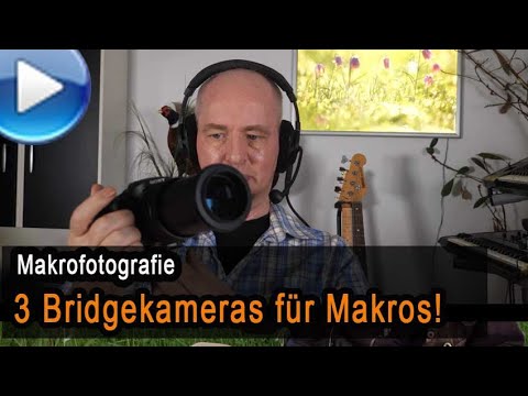 3 Bridgekameras für Makros - Lumix FZ1000 II, Sony RX10 III, Nikon P950