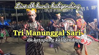 TRI MANUNGGAL SARI ♊️ KETAPANG KALIGENDING ♊️ LIVE KUNIR KALIGENDING