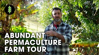 Beautiful 1 Acre Small Scale Permaculture Farm - Limestone Permaculture Farm