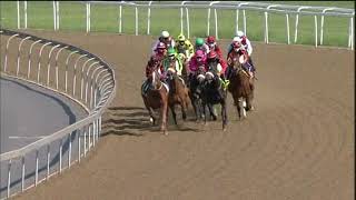 20200819 Hollywoodbets Greyville express clip Race 5 won by HOPSKIPANDJUMP