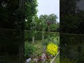 Beautiful and Relaxing place 🌿🍀🌹 #nature #relaxingplace #ytshorts #shortvideo #shortsviral #shorts
