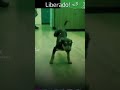Deita Pro Aur йlio Mais Sem Fazer Careta ЁЯШоЁЯТЕЁЯП Deita Pro Aur йlio Mais Sem Fazer Careta ЁЯШоЁЯТЕЁЯП