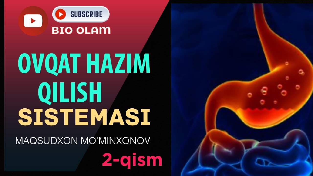 Ovqat hazm qilish sistemasi (2-qism) | @Maqsudxon_Mominxonov