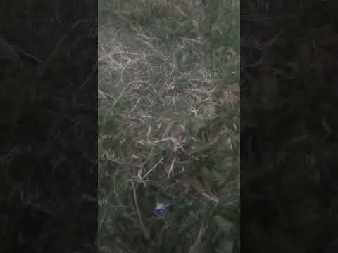 ٢٧ أغسطس ٢٠٢٢ 