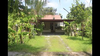 Living on a small farm and building a budget house under 200.000 baht