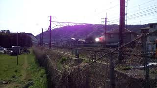 JR西日本京都線を走る、EF81形113号機+キハ120形！(後藤車両場出場、トワイライト色)