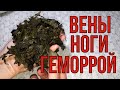 Просто добавила ЛИСТ из огорода, почистила сосуды, ПЕЧЕНЬ и почки.