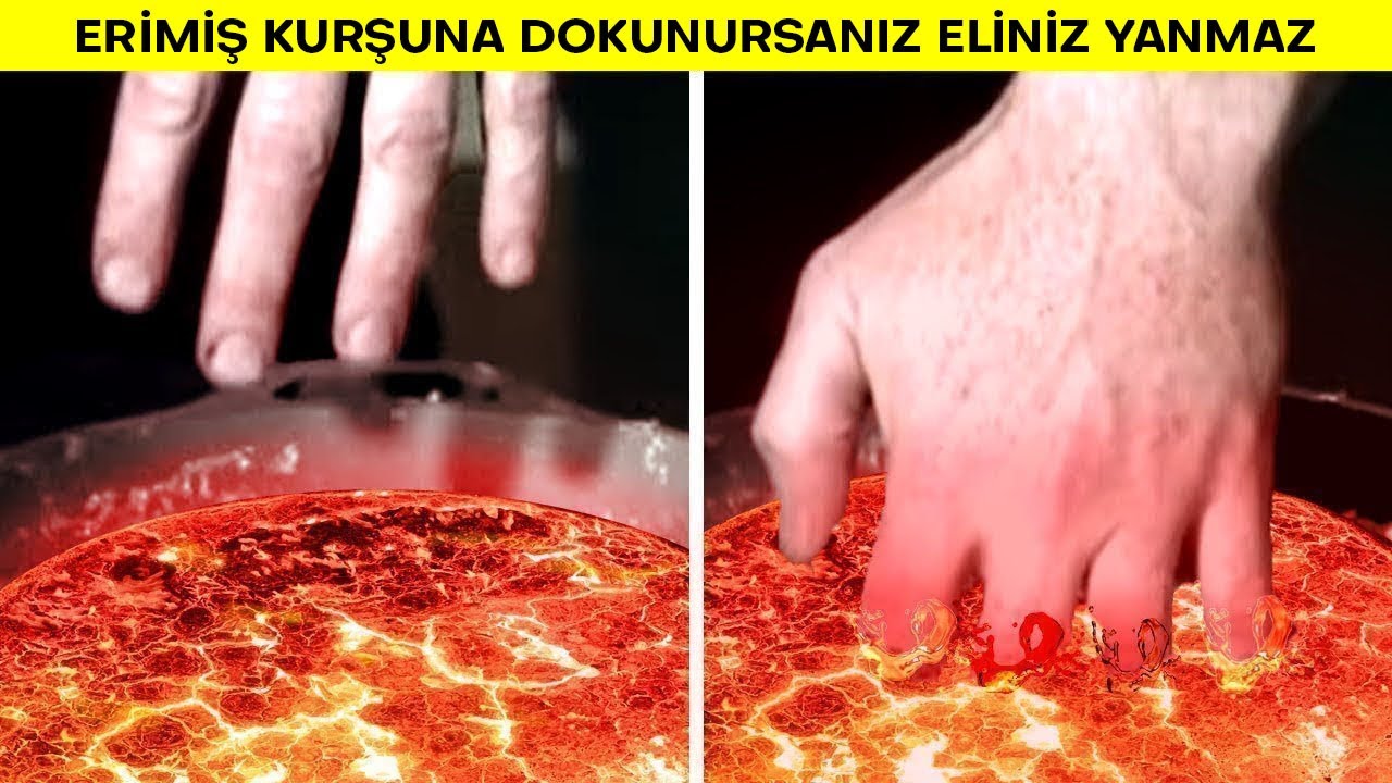 Aslında Doğru Olan Şaşırtıcı Söylentiler YouTube Aslında Doğru Olan Şaşırtıcı Söylentiler YouTube